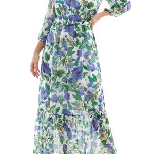 Women's Nina Leonard Chiffon Printed Maxi Dress | XL